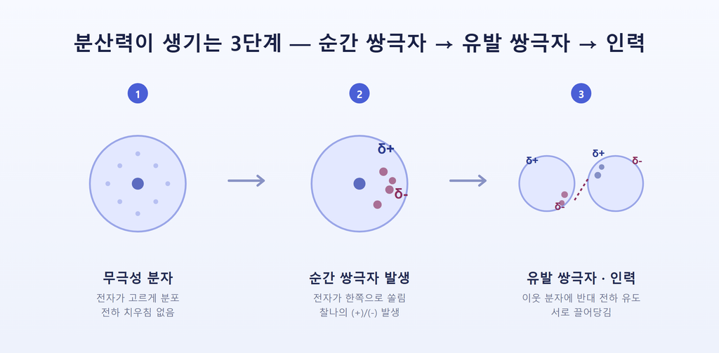 반데르발스 힘 vs 수소결합, 결합력이 다른 이유 한눈에 정리 2 순간 쌍극자와 유발 쌍극자가 만들어지는 과정을 보여주는 분산력 원리 그림