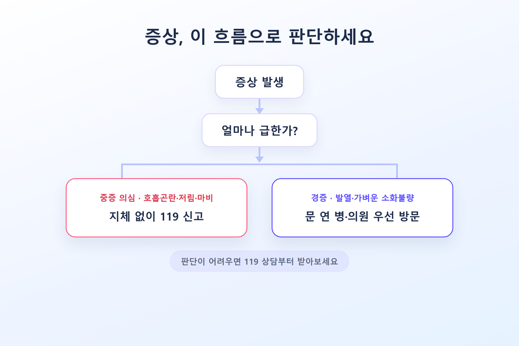 2026 추석 연휴, 문 여는 약국 지금 바로 찾는 법 3 추석 약국