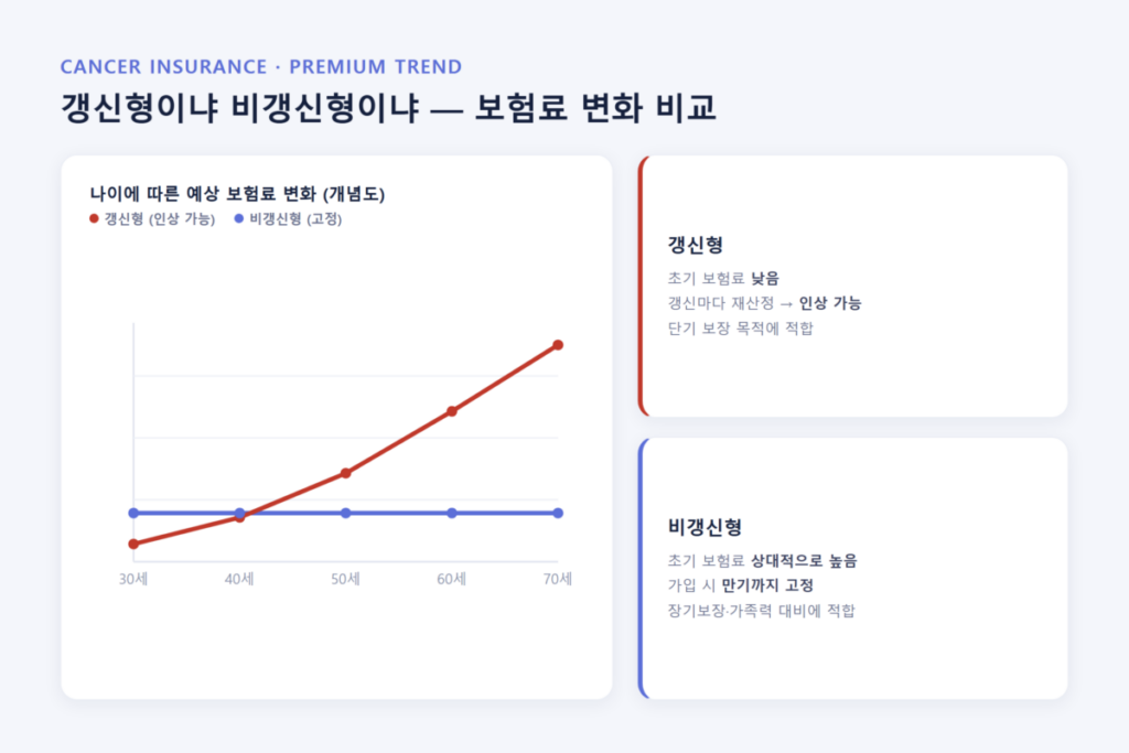 암보험 비교 총정리 - 보장내용·보험료 결정 요인부터 갱신형·비갱신형 차이까지 한눈에 정리 5 암보험 비교의 핵심 갈림길