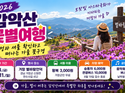 ChatGPT Image 2026년 9월 17일 오전 08 30 48