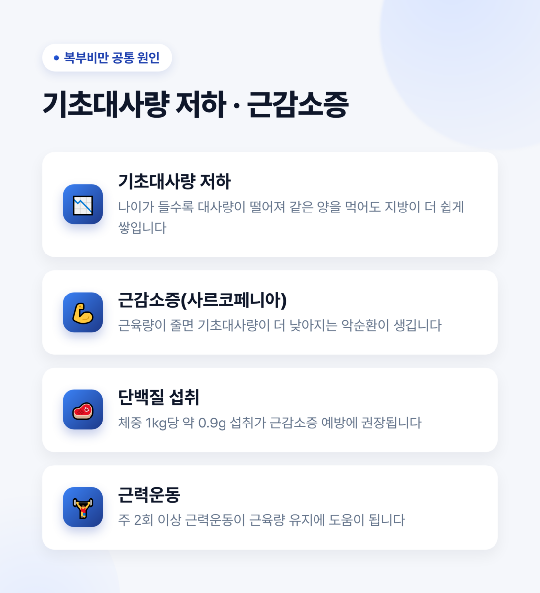 복부비만, 중년이 되면서 배만 나오는 이유는? 2 기초대사량 저하와 근감소증 - 단백질 1kg당 0.9g, 주 2회 근력운동 권장