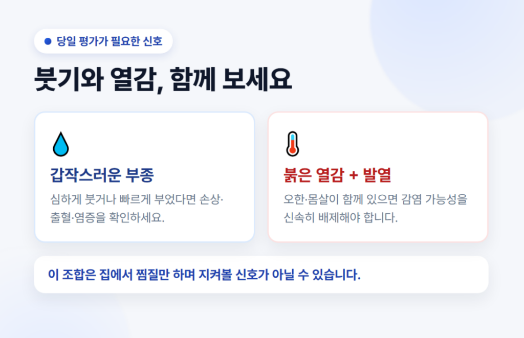 무릎 위험 신호 인포그래픽